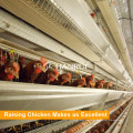 Tianrui Design Automatic H Frame 4 Tiers Layer Equipo de granja de aves de corral
